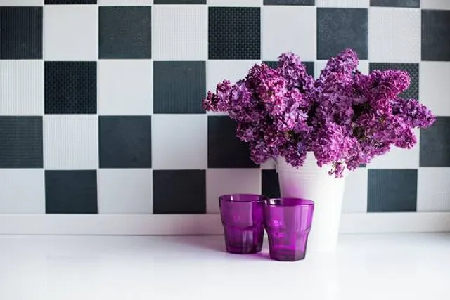 Craig's Cruisers - Grand Rapids