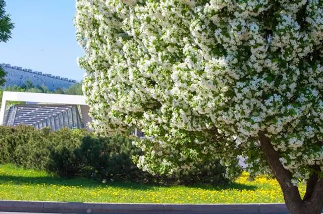 Abarena - der Freizeitpark für jedes Wetter