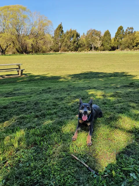 Westbury Town Common