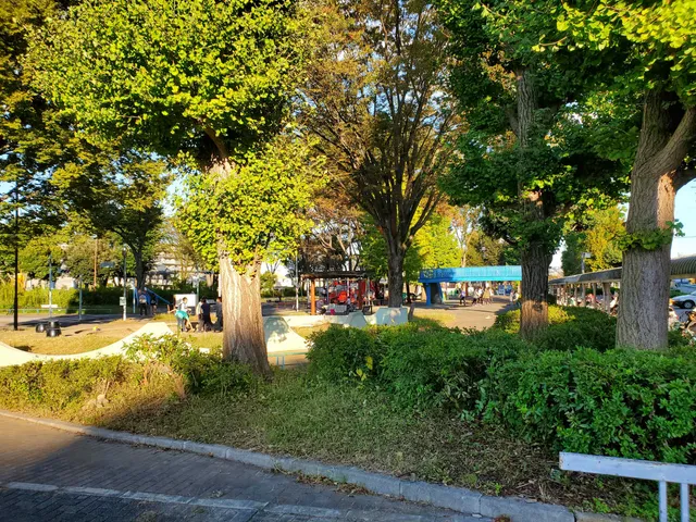 photo-3