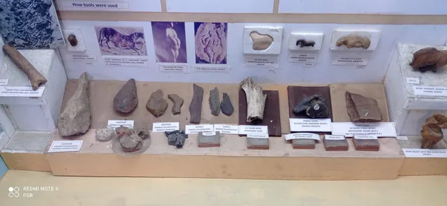 Deccan College - Archaeology Museum