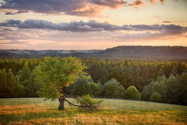 White Hill - lookout tower