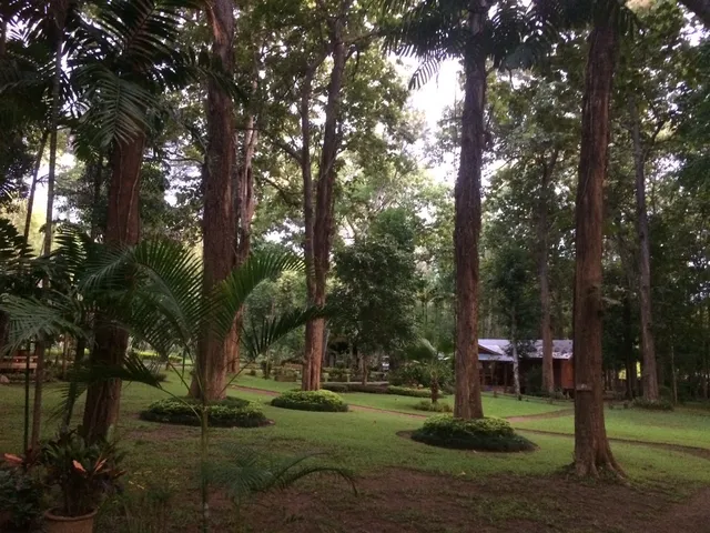 Huai Chomphu Arboretum