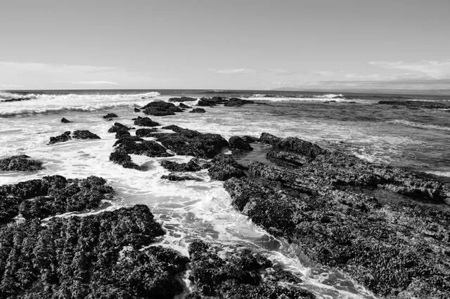 Playa Las Salinas, Las Cruces