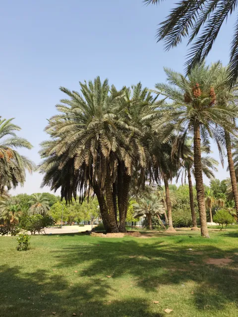 Public Al-Suwaidi Garden
