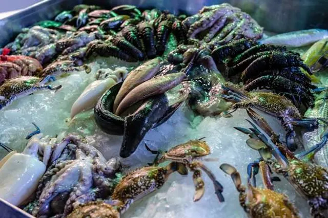 Shivaji Park [ Kankarbagh ]