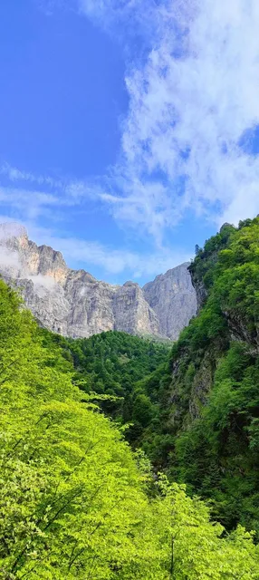 Polle di Malbacco - Pozzo della Madonna