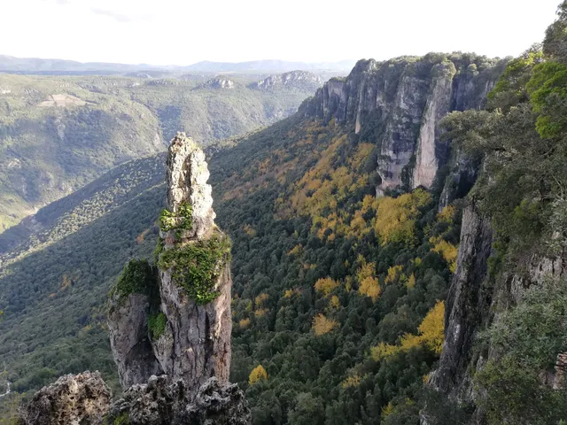 Complesso Forestale di Corongia