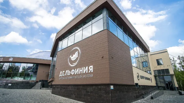 Dolphins, oceanography and marine biology center