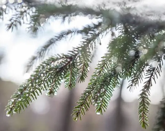 Egailah Public Beach Park