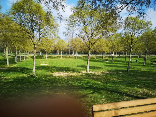 Parc de la Grande Plaine