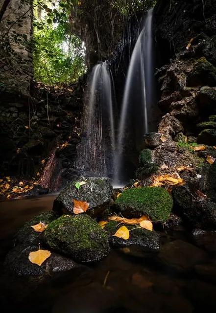 Reserva Natural El Viejo Molino