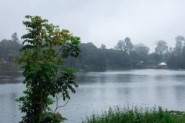 Yercaud Lake