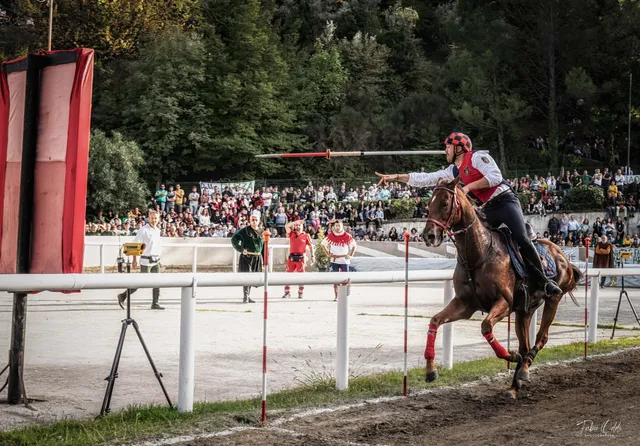 Giostra dell'Arme San Gemini