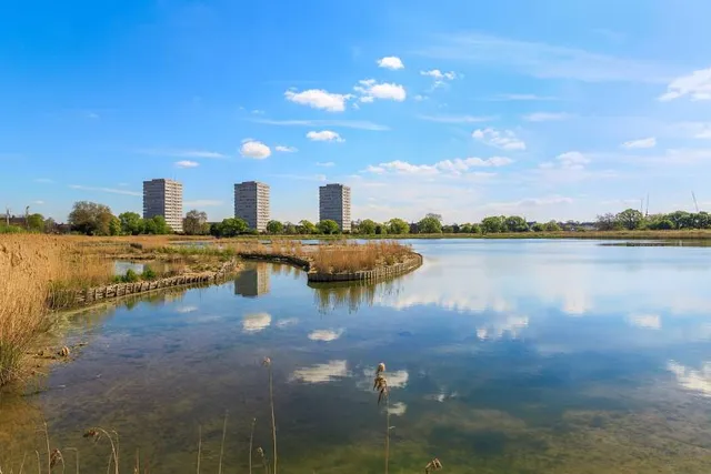 Woodberry Wetlands, London Wildlife Trust