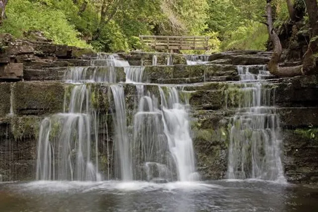 Valley Of Eden Bird Sanctuary