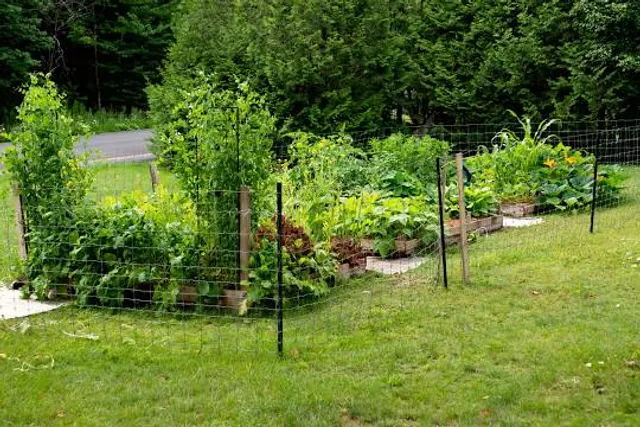 Nature and Wildlife Park Waschleithe