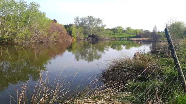 Laguna de la Recomba