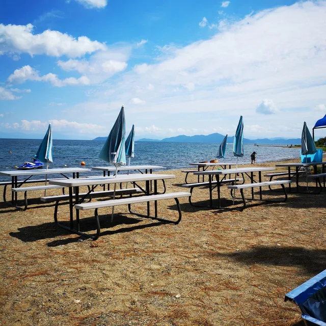 セーリングスポットワニ