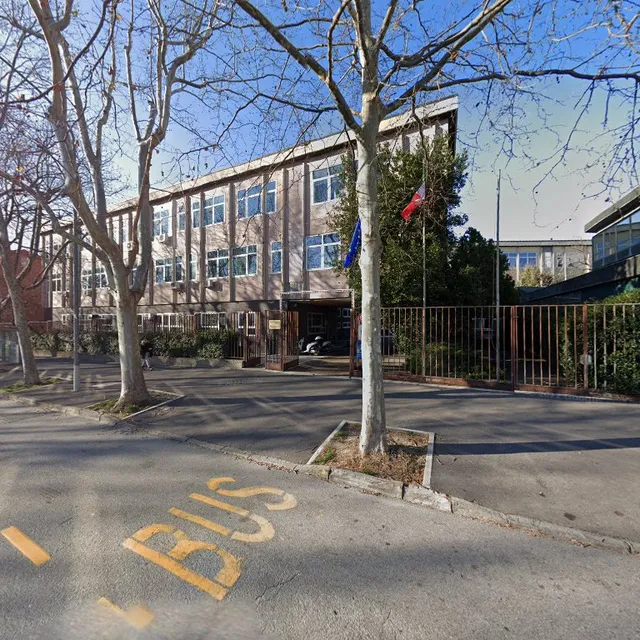 University of Trieste