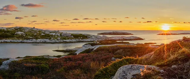 Polly Cove Hiking Trail