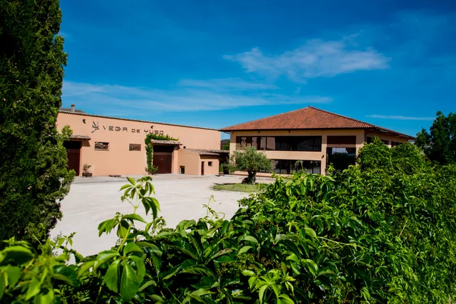 Bodegas y Viñedos Vega de Yuso, S.L.