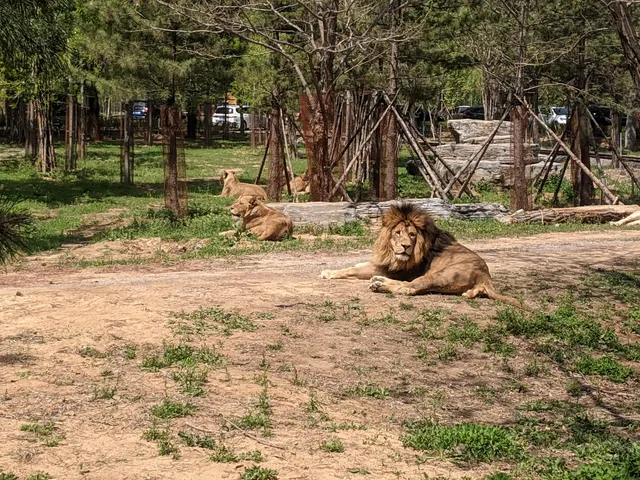 Qinhuangdao Wildlife Park