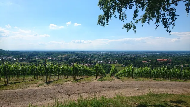 AugenBlick Obersasbach-Lauf