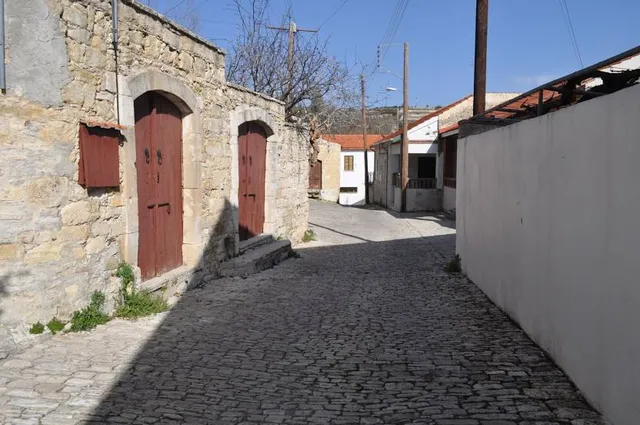 Devesas Park / Camellias Garden