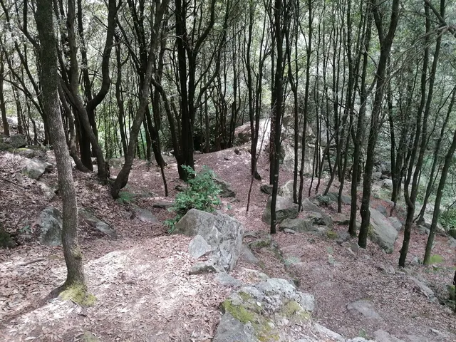 Cascata del Litrello