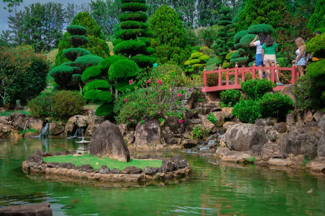 Jardim Japonês