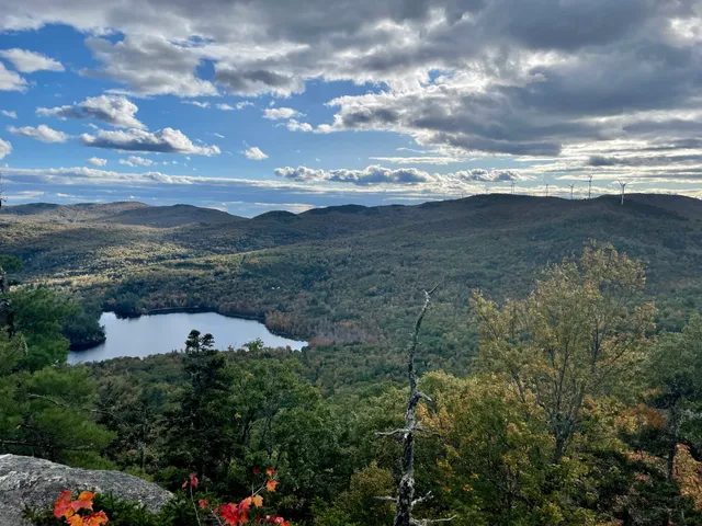 Little Concord Pond State Park Trailhead