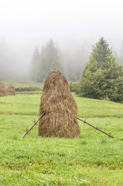 Heydər Əliyev Parkı