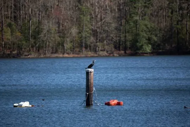 Rezerwat przyrody Na Torfach im. Janusza Kozłowskiego w Karczewie