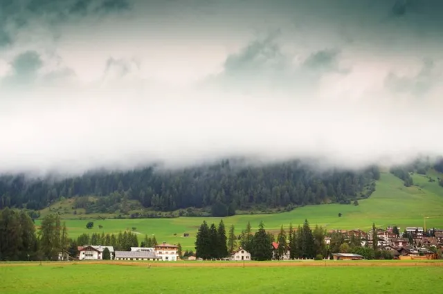 Parco fauna Wild Park