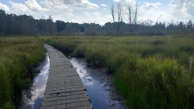 Bishop's Bog Preserve