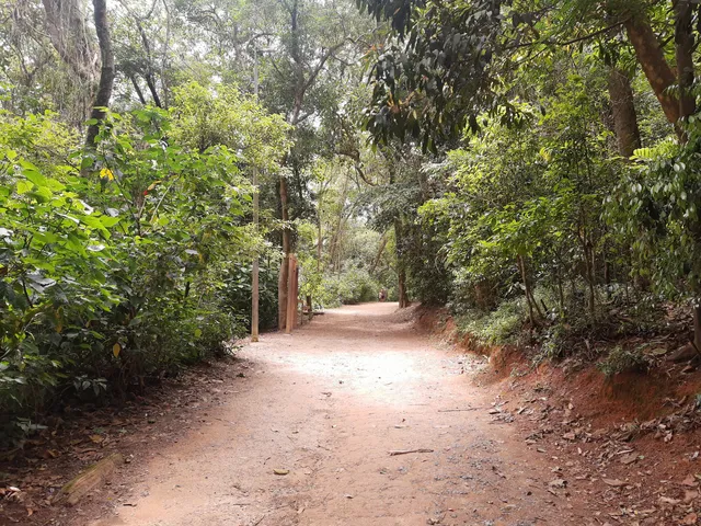 Parque Santo Dias
