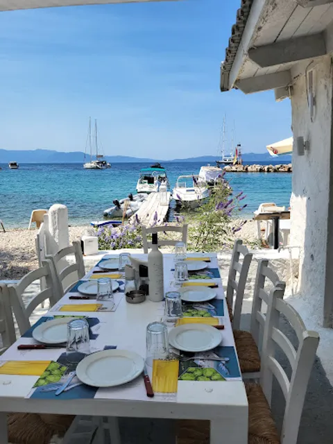 Varka Family Cooking & Art Restaurant