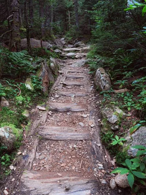 Monroe Trail - Camel's Hump Trailhead