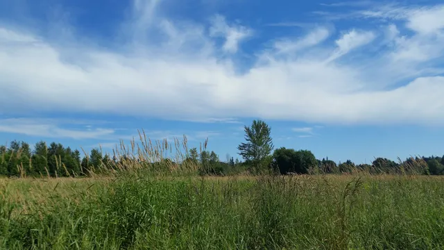 Portage Creek Wildlife Reserve