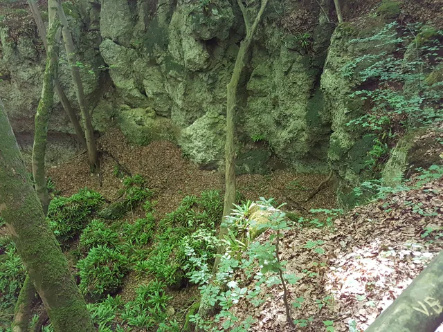 Gipskarstlandschaft Hainholz