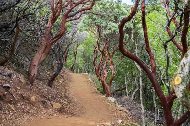 Manzanita County Park