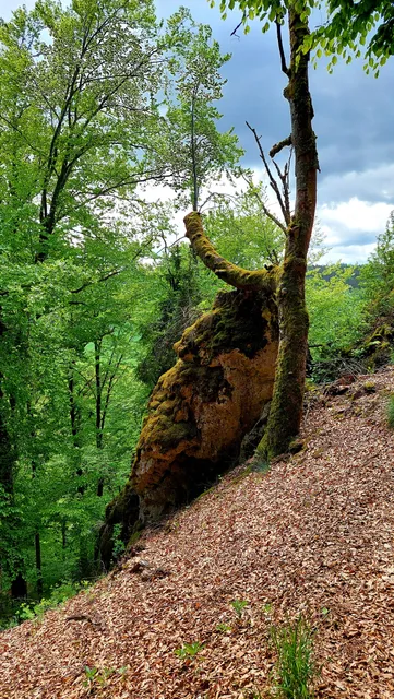 Parkplatz - Jägersteig