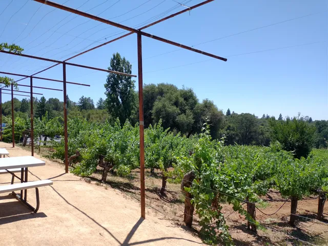 Shenandoah Vineyards