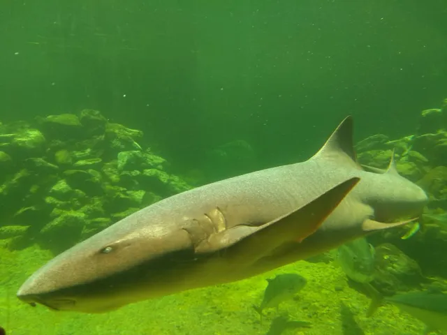 Acuario Mundo Marino