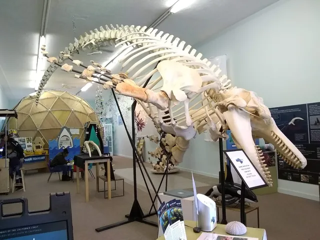 Noyo Center For MARINE Science