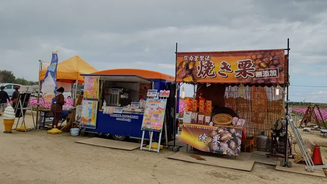 サンコウコスモスエン