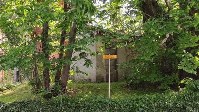 photo-2