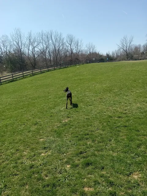Vernon Dog Park