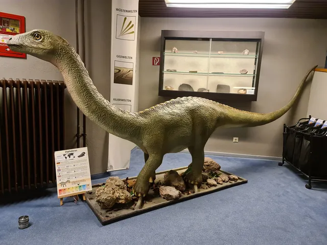 NatUrzeitmuseum Bad Sachsa